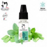 E-liquide Menthe Gum Chlorophylle Bioconcept