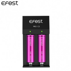 Chargeur Accus EFEST PRO C2