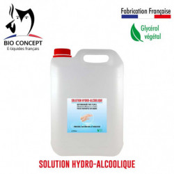 Solution Hydro-Alcoolique 5L
