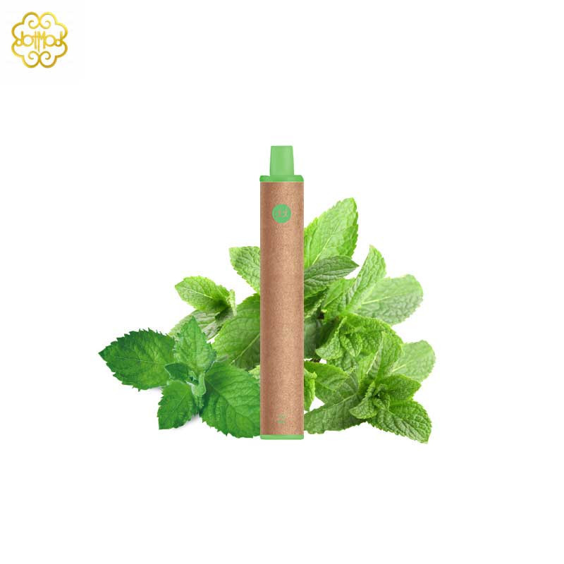 Pod jetable Dot E-Series Mint Dotmod Pod jetable Dot E-Series Mint Dotmod