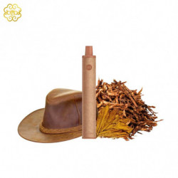 Pod jetable Dot E-Series Velvet Tobacco Dotmod