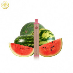 Pod jetable Dot E-Series Lush Dotmod
