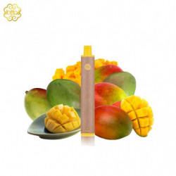 Pod jetable Dot E-Series Mango Dotmod