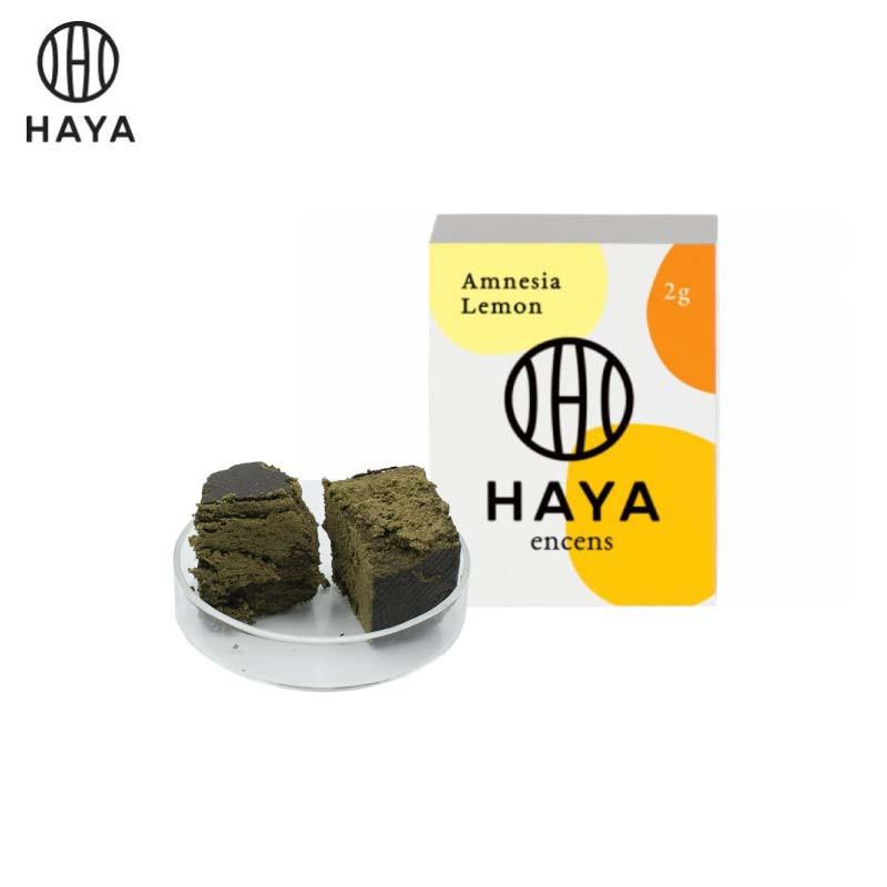 Encens CBD Amnesia Lemon Haya Encens CBD Amnesia Lemon Haya