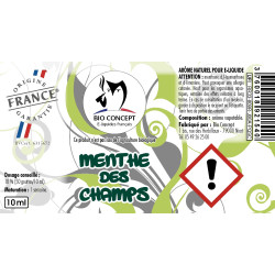 Menthe des champs Arôme naturel DIY pour E-liquide