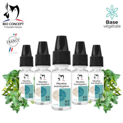 Lot de 5 e-liquides Menthe...