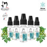 Lot de 5 e-liquides Menthe Eucalyptus