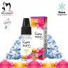 E liquide Pomme ice Vap'n puff
