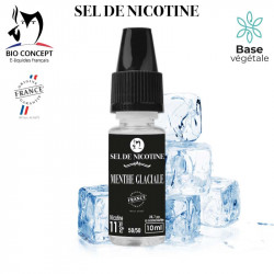 Sel de nicotine - Menthe...