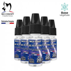 booster Sel de nicotine - Lot de 10 Nico Shoot